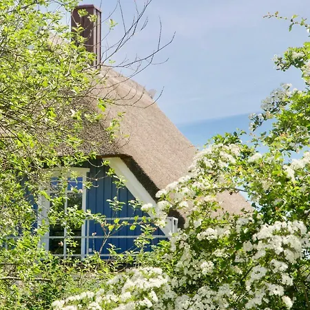 Haus Meerblau וילה בורן